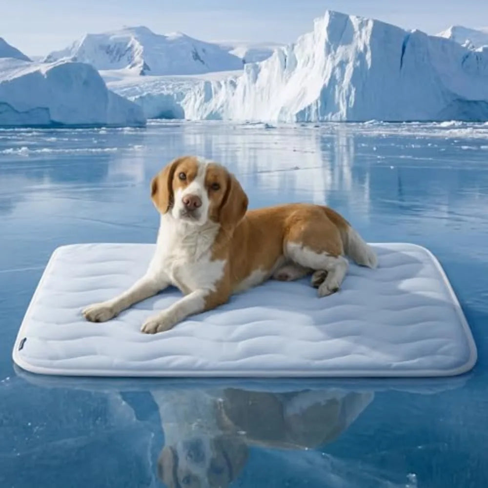 Washable Cooling Dog Mat Breathable Pet Bed For Seasonal Comfort
