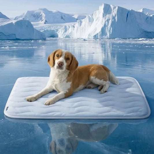 Washable Cooling Dog Mat Breathable Pet Bed For Seasonal Comfort