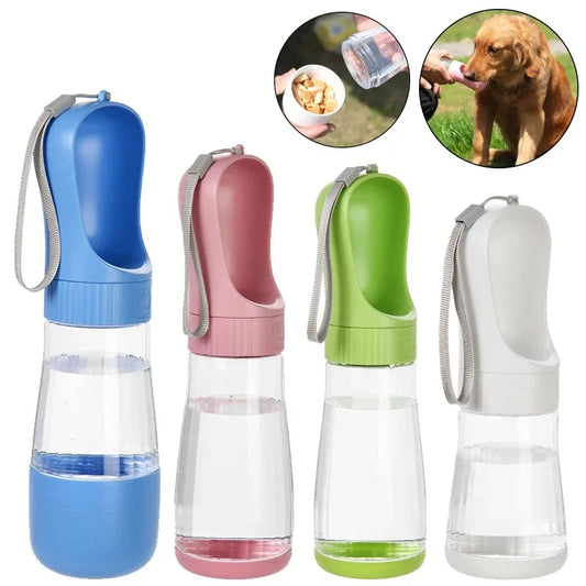Travel Glass Pet Water Bottle With Integrated Food Container