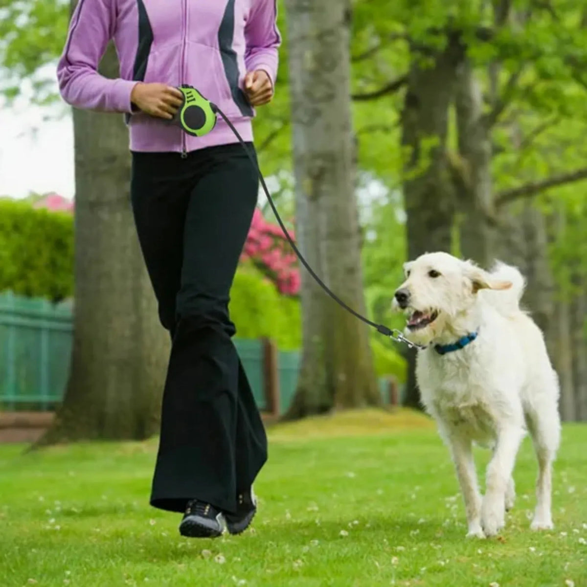 Automatic Retractable Dog Leash For Smooth Pet Walking Experience