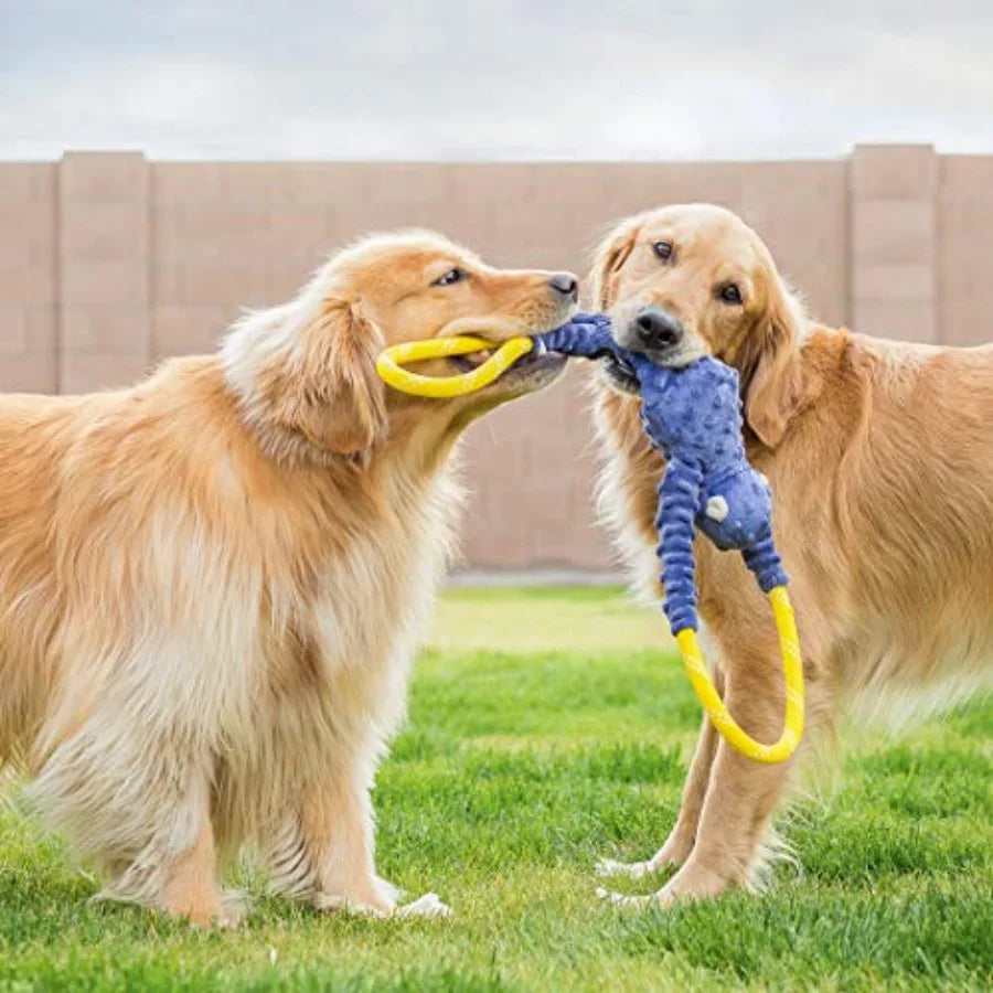 Strong Nylon Sisal Interactive Dog Tug Of War Toy