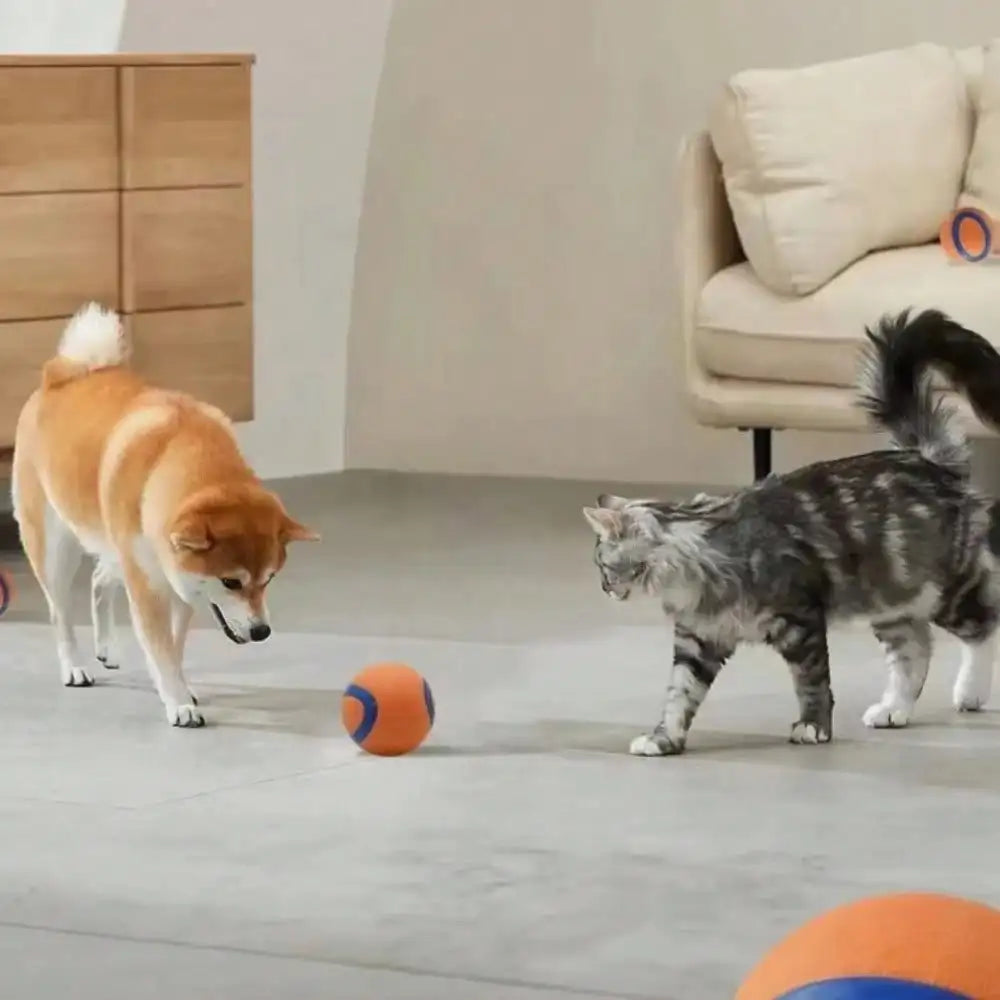 Premium Elastic Rubber And Plush Dog Fetch Ball Toy