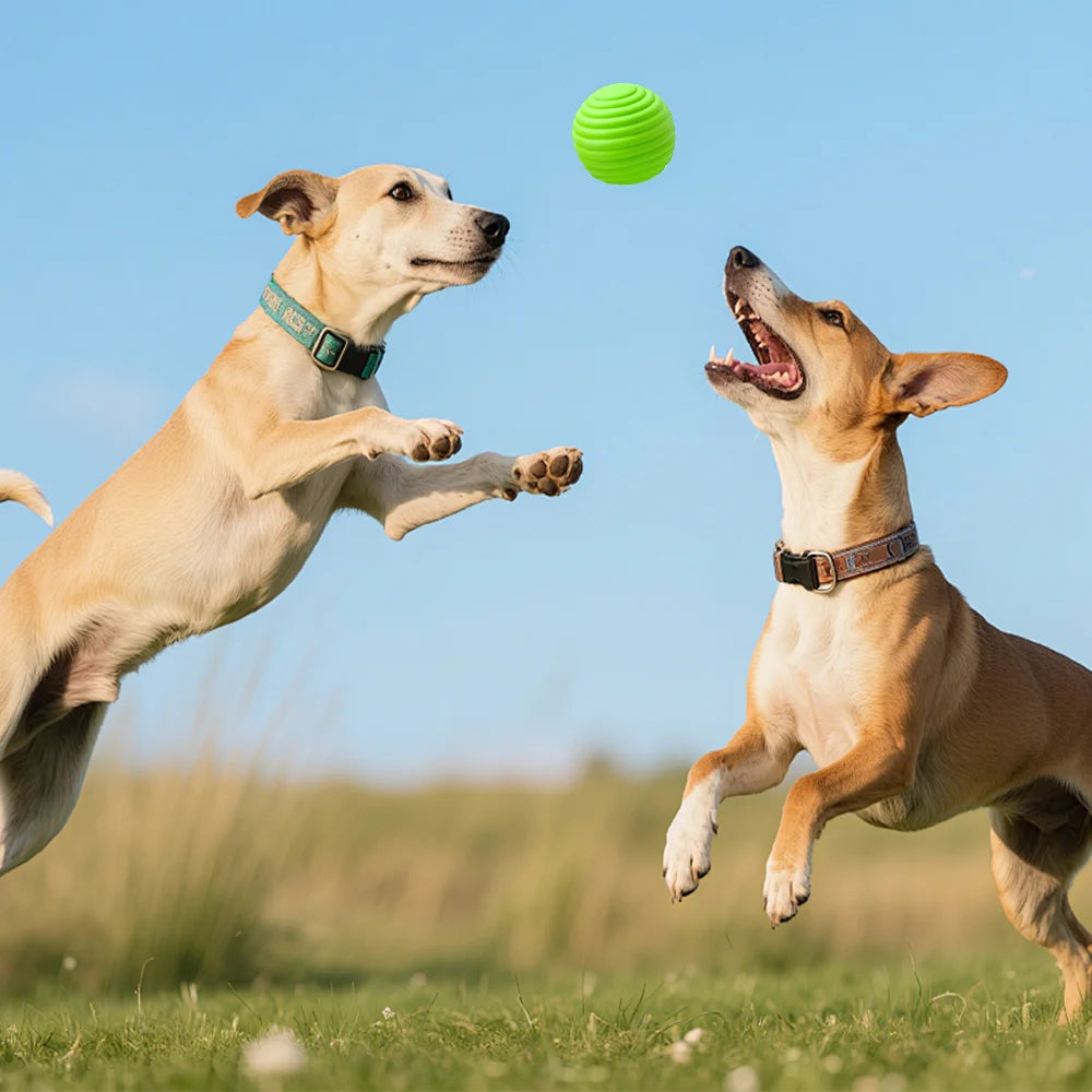 Dog Chew Toy Balls 4 Pack, Textured Soft Rubber Interactive Fetch Play Balls, High Quality Bite Resistant Pet Teething Toy, Colorful Design, Perfect Halloween Holiday Gift for Small Medium Dogs, Indoor & Outdoor Entertainment