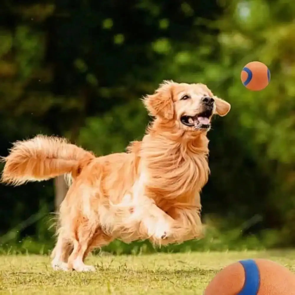 Premium Elastic Rubber And Plush Dog Fetch Ball Toy