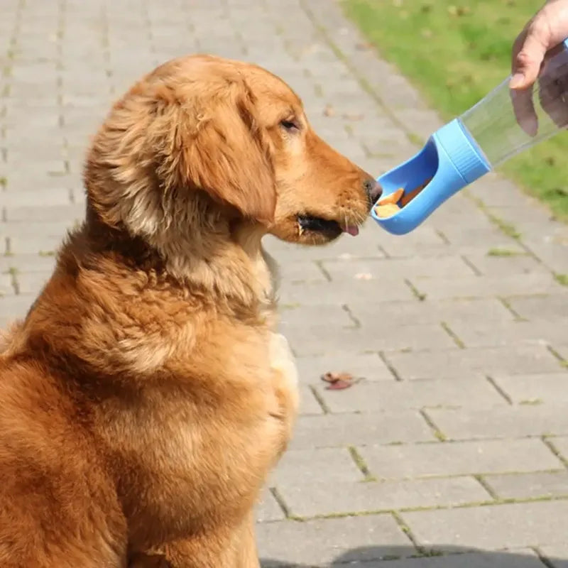 Travel Glass Pet Water Bottle With Integrated Food Container