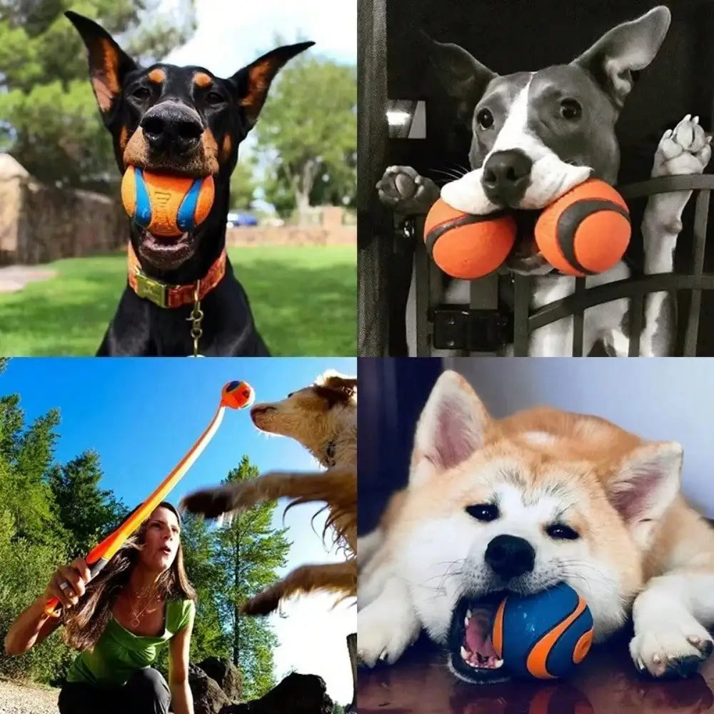 Premium Elastic Rubber And Plush Dog Fetch Ball Toy