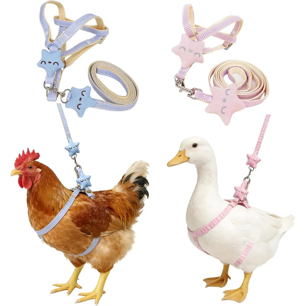 Adjustable Star Bird Harness Vest Set With Leash For Poultry