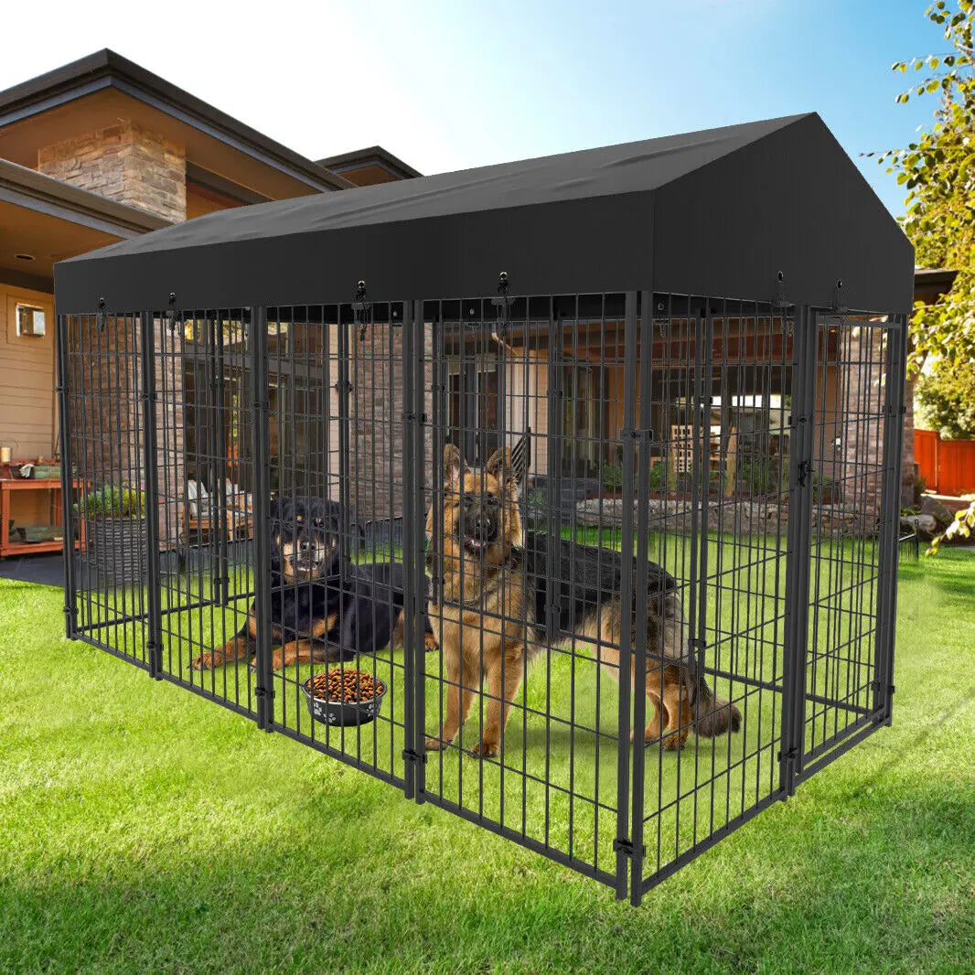 Outdoor Iron Dog Cage With Roof and High Fence Kennel