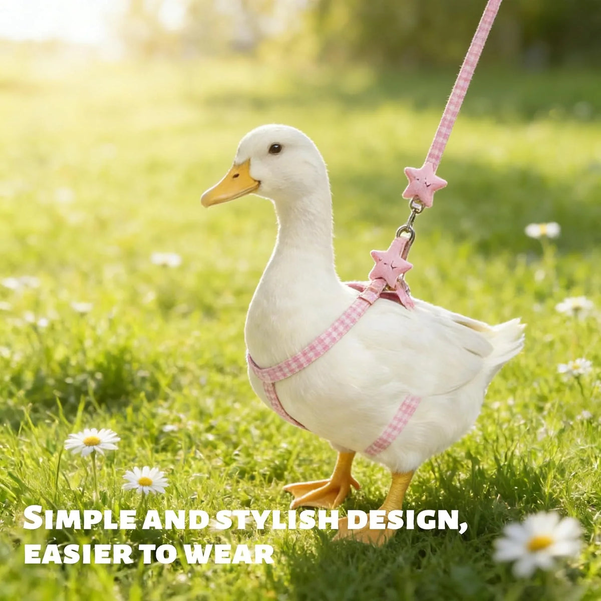 Adjustable Star Bird Harness Vest Set With Leash For Poultry