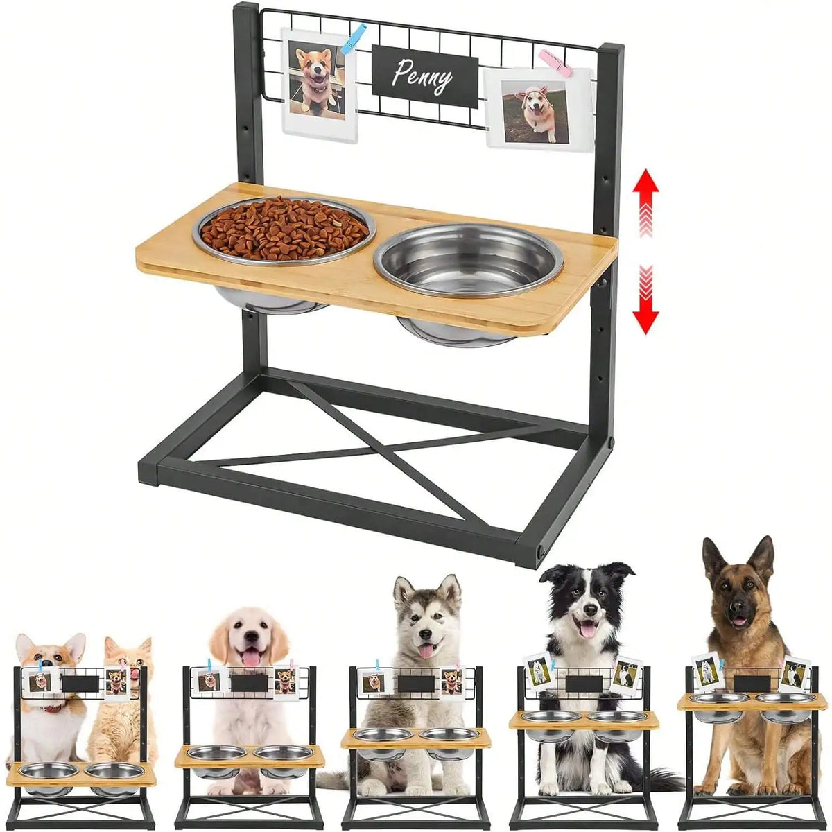 Adjustable Elevated Stainless Steel Raised Dog Food Bowls Set