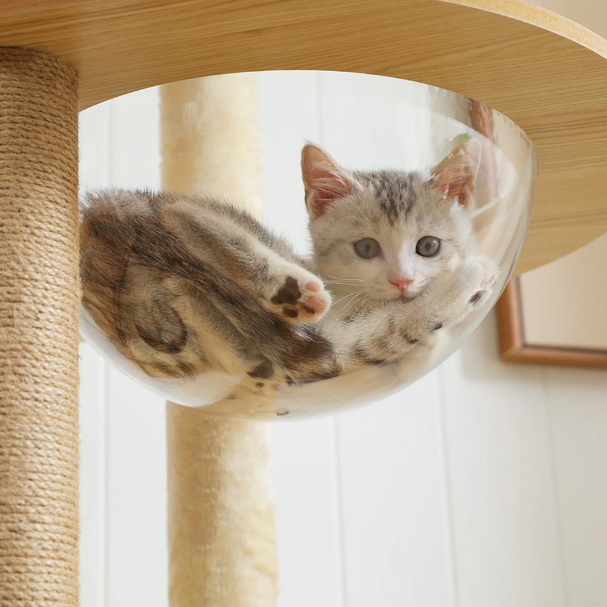 PAWZ Indoor Wooden Cat Tree Tower With Hammock And Posts