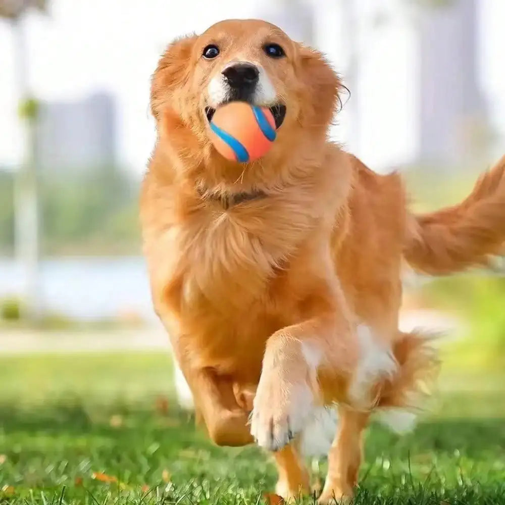 Premium Elastic Rubber And Plush Dog Fetch Ball Toy
