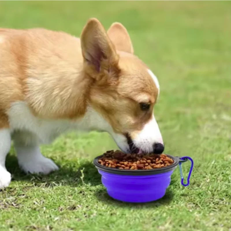 Portable Collapsible TPR Pet Food And Water Bowl For Travel
