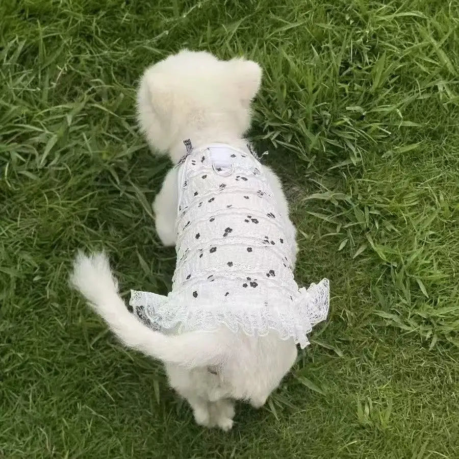 Spring Bowknot Lace Sleeveless Vest Dress for Dogs and Cats