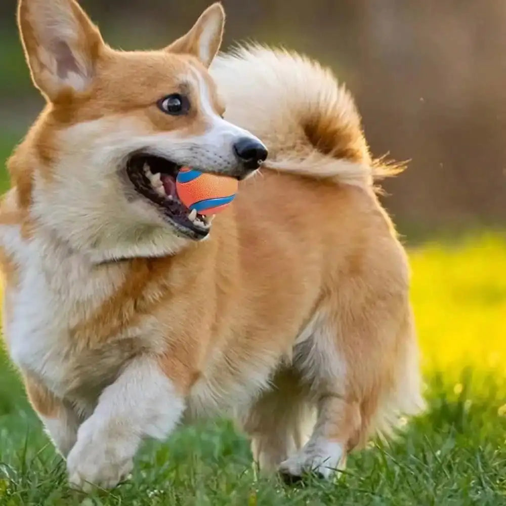 Premium Elastic Rubber And Plush Dog Fetch Ball Toy