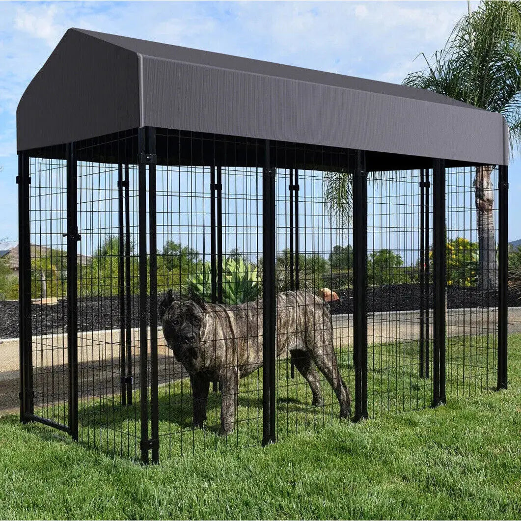 Outdoor Iron Dog Cage With Roof and High Fence Kennel