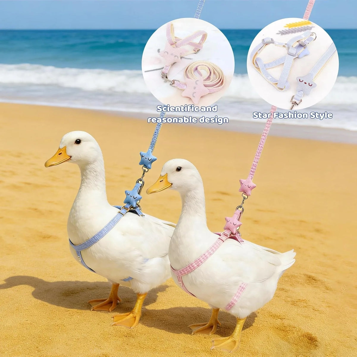 Adjustable Star Bird Harness Vest Set With Leash For Poultry