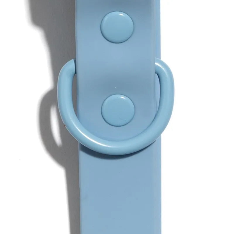 Water And Dirt Resistant Fashion Dog Collar For Puppy Comfortable