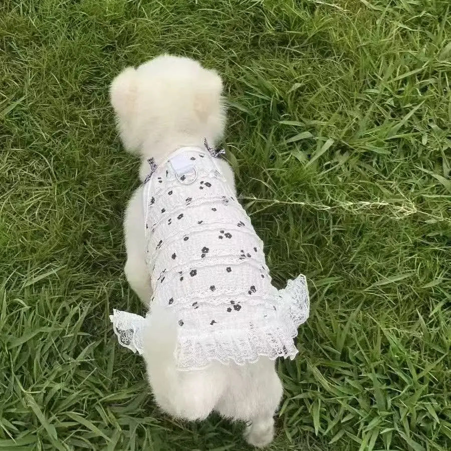 Spring Bowknot Lace Sleeveless Vest Dress for Dogs and Cats