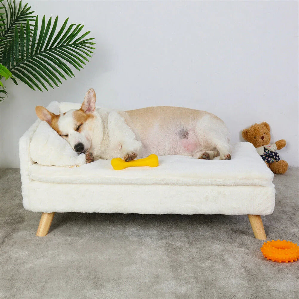 Borwart Elevated Dog Sofa Bed With Plush Backrest Design