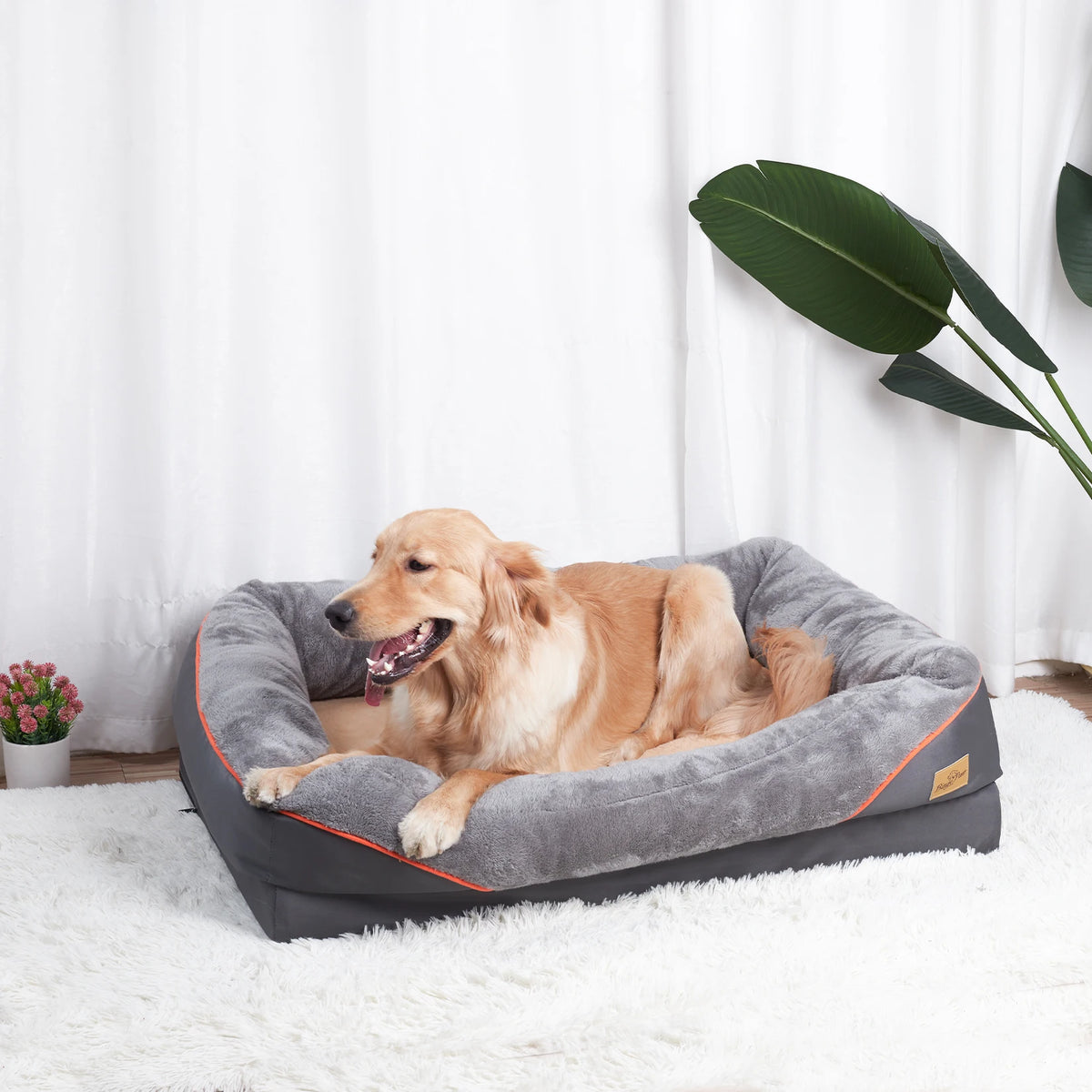 Bingopaw Washable Fleece Dog Bed With Removable Waterproof Cover