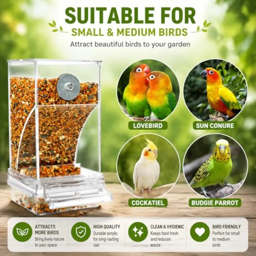 Acrylic Auto Bird Feeder, No Mess Design, Large Capacity, for Budgies Cockatiels Lovebirds, Indoor Home Daily Feeding Tool