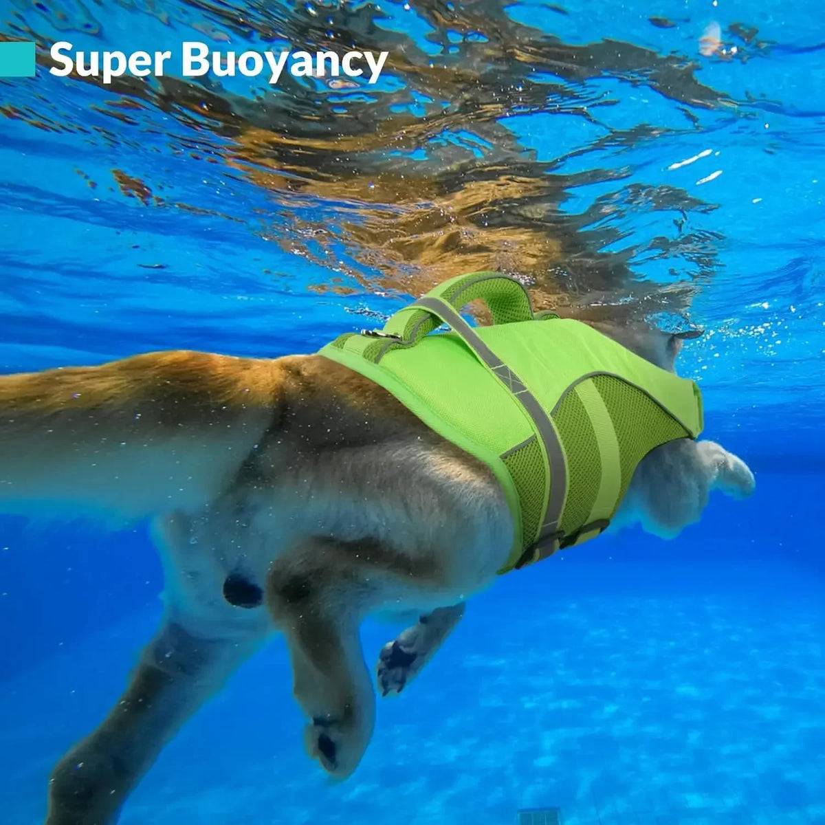 Durable Mesh Dog Life Vest With Rescue Handle For Swimming