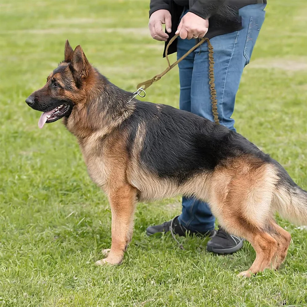PetraVel Adjustable Dual Handle Dog Leash With Quick Release