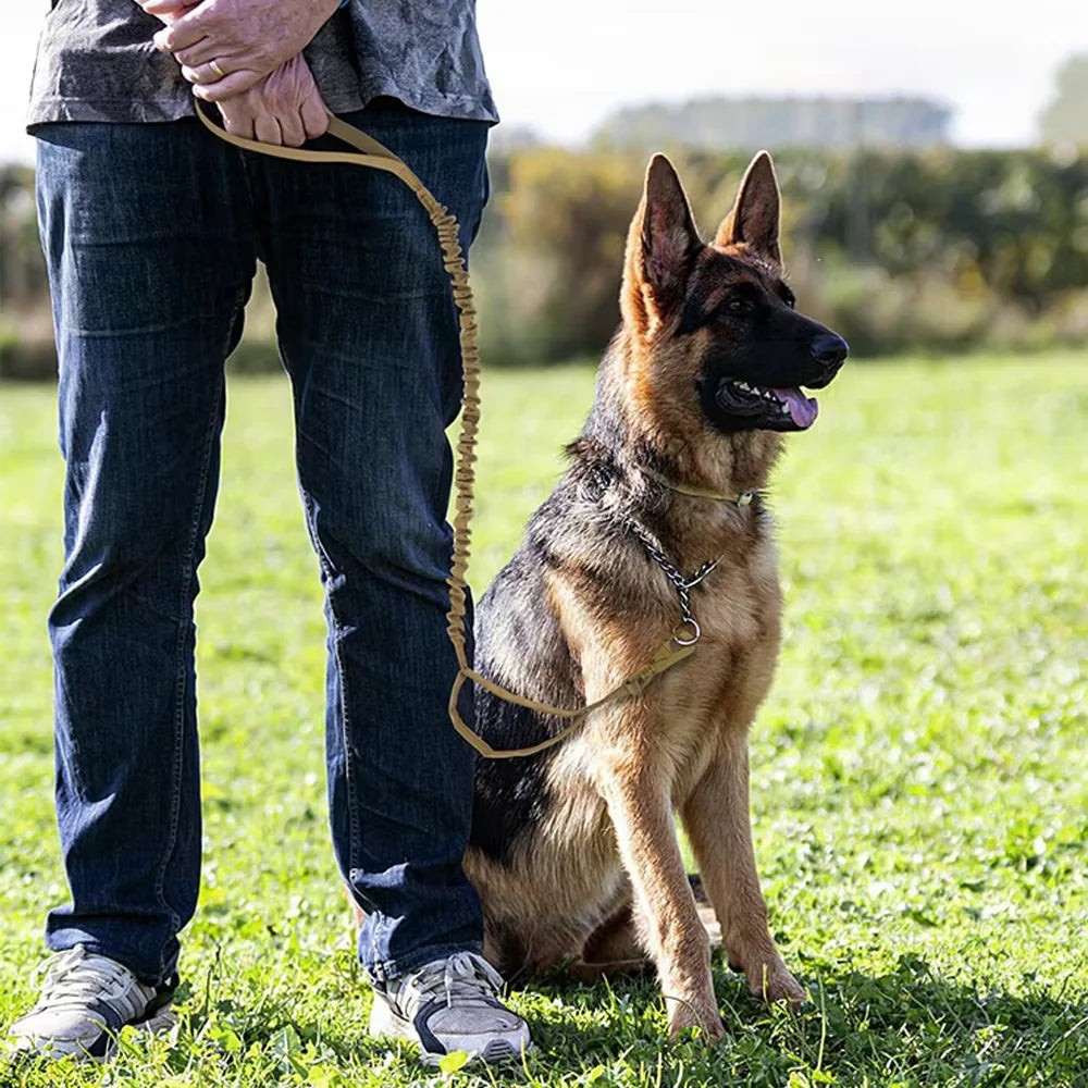 PetraVel Adjustable Dual Handle Dog Leash With Quick Release