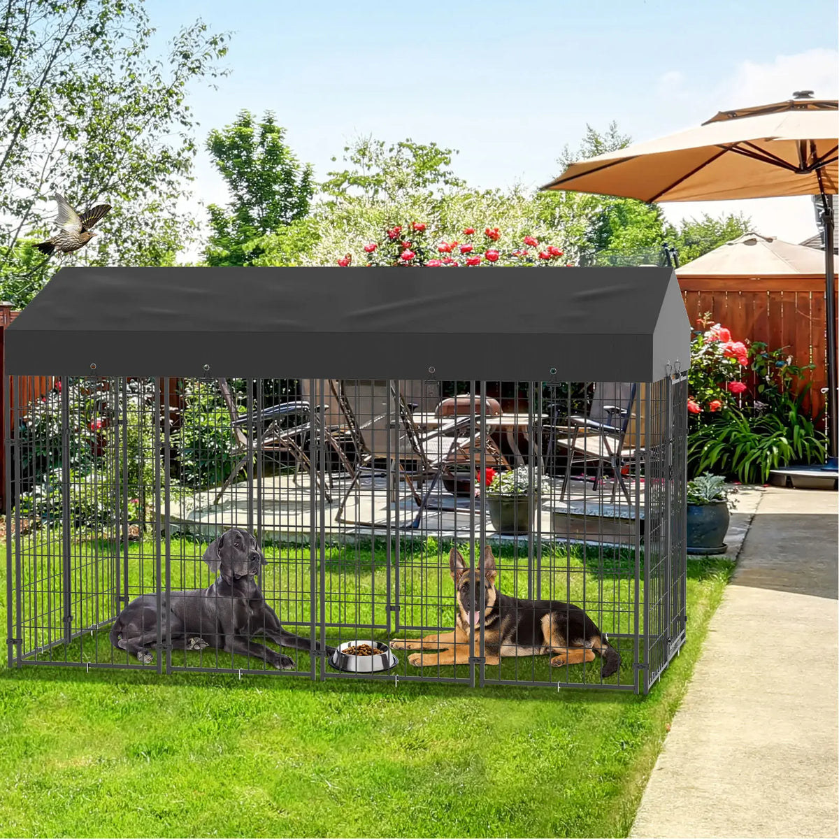 Outdoor Iron Dog Cage With Roof and High Fence Kennel
