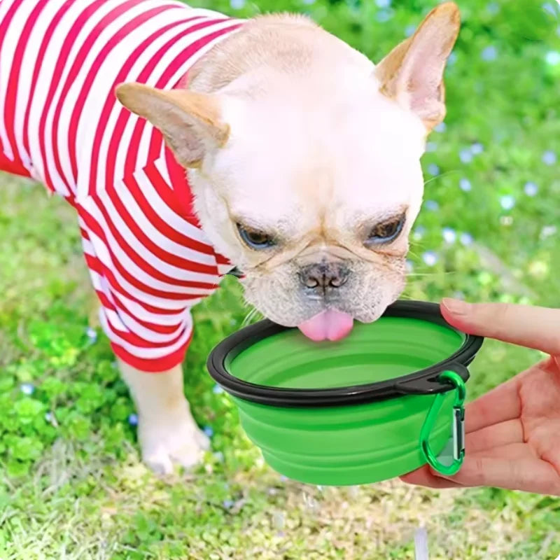 Portable Collapsible TPR Pet Food And Water Bowl For Travel